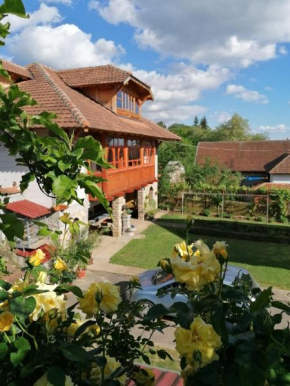 Country house Todor